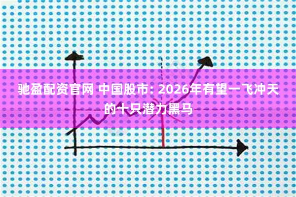 驰盈配资官网 中国股市: 2026年有望一飞冲天的十只潜力黑马