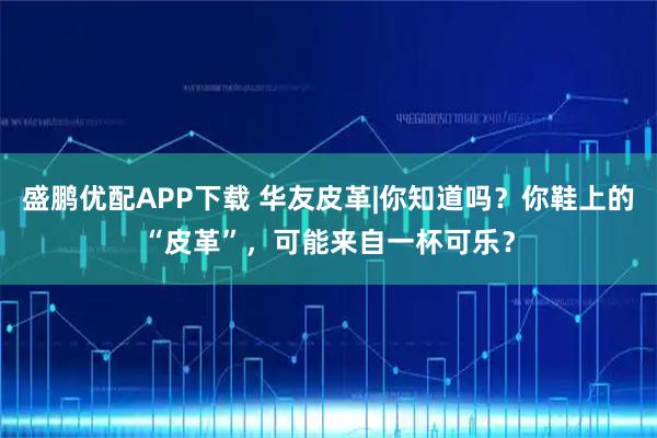 盛鹏优配APP下载 华友皮革|你知道吗？你鞋上的“皮革”，可能来自一杯可乐？