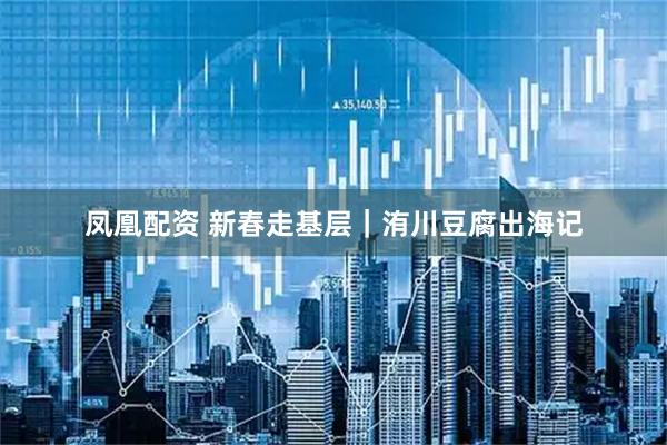 凤凰配资 新春走基层｜洧川豆腐出海记